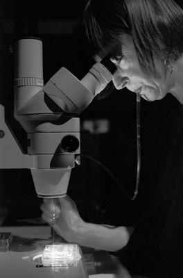 Helen Chadwick, in residence at Kings' College Assisted Conc...