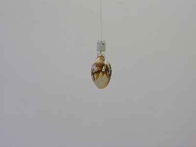 Untitled, 2007