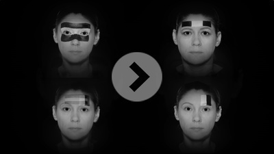 Face Scripting : What Did the Building See? 2011