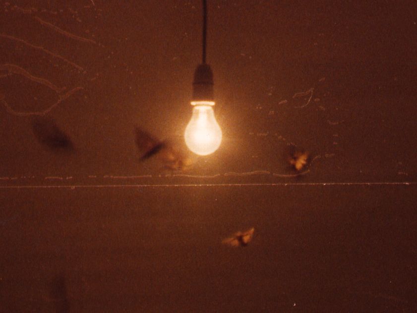 25 Watt Moon (film frames), 1996 by Abigail Lane © Abigail Lane. All Rights Reserved, DACS/Artimage 2018 25 Watt Moon (film frames), 1996