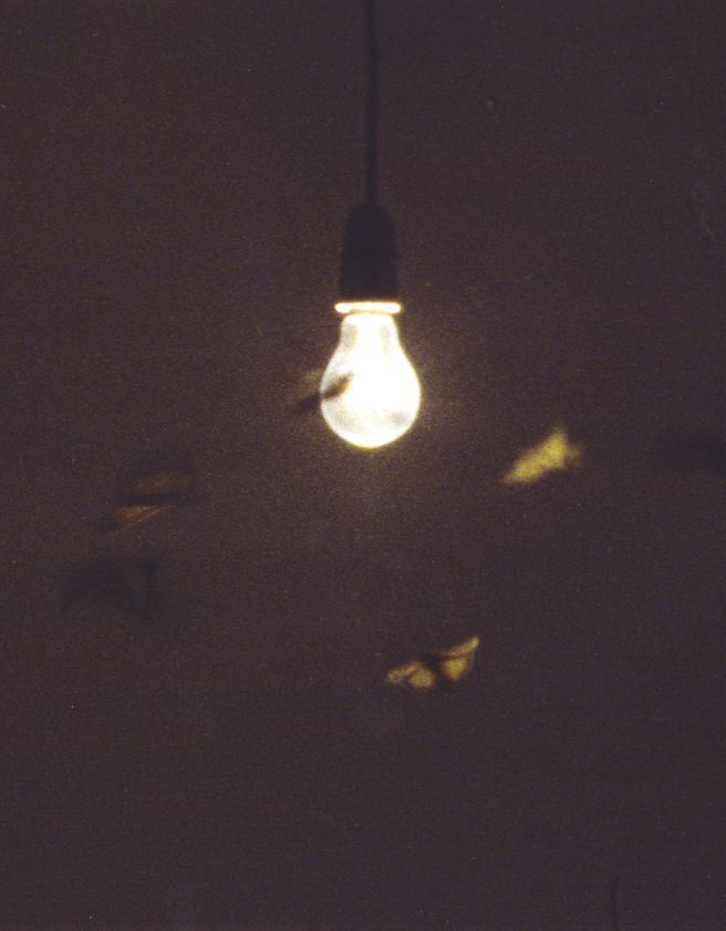 25 Watt Moon, 1996 by Abigail Lane © Abigail Lane. All Rights Reserved, DACS/Artimage 2018 25 Watt Moon, 1996