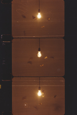 25 Watt Moon (film frames), 1996
