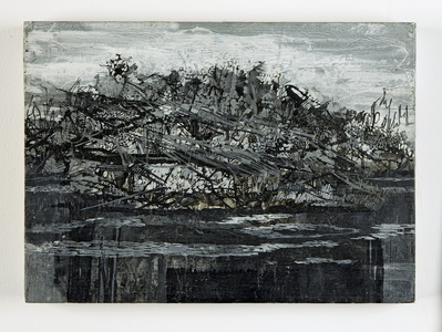 Park, 1998