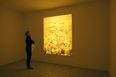 Caetera Fumus, 2015