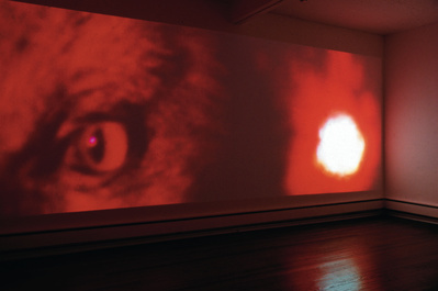 Light Seeking Transparency, 2003