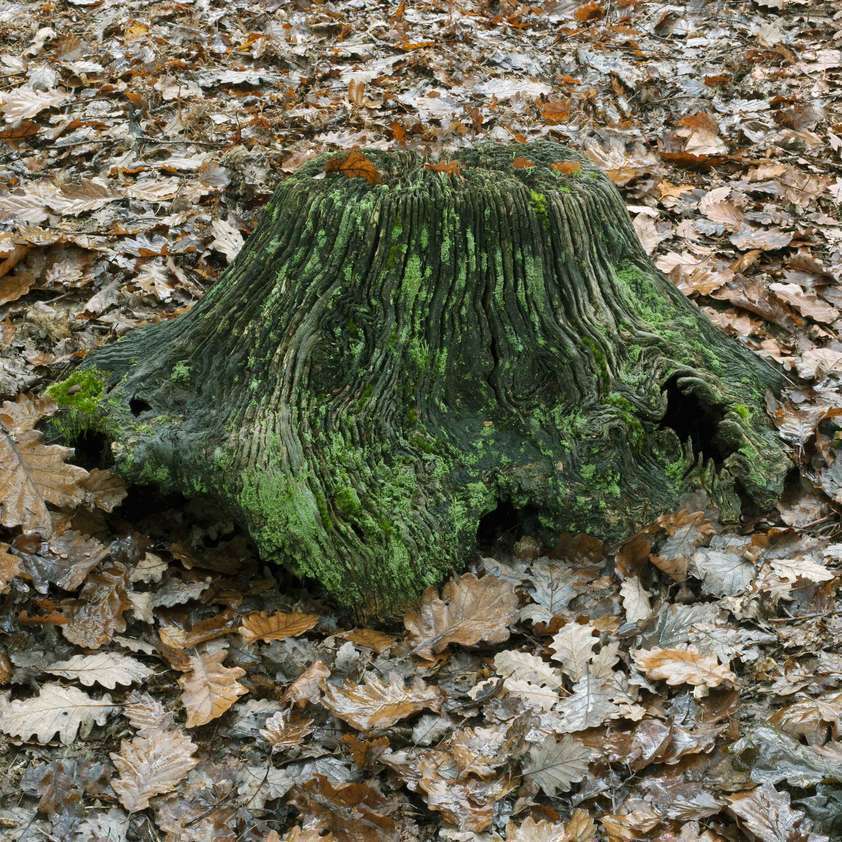 Base 1, 2015 by Helen Sear © Helen Sear. All Rights Reserved, DACS/Artimage 2018. Photo: Helen Sear Base 1, 2015