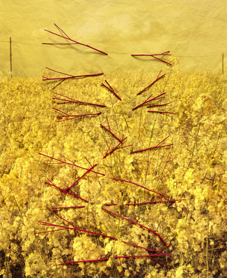 Caetera Fumus, 2015