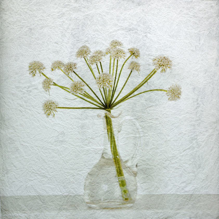 Pastoral Monument 5 ANGELICA ATROPURPUREA, 2012 by Helen Sear © Helen Sear. All Rights Reserved, DACS/Artimage 2018. Photo: Helen Sear Pastoral Monument 5 ANGELICA ATROPURPUREA, 2012
