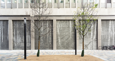 Silver Forest, Westminster City Hall, London 2016