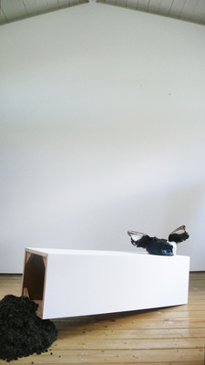 Magpie, 2013