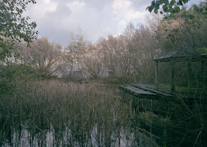 Garden Festival Site Pond, Liverpool, 2006 by John Davies © John Davies. All Rights Reserved, DACS/Artimage 2018 Garden Festival Site Pond, Liverpool, 2006