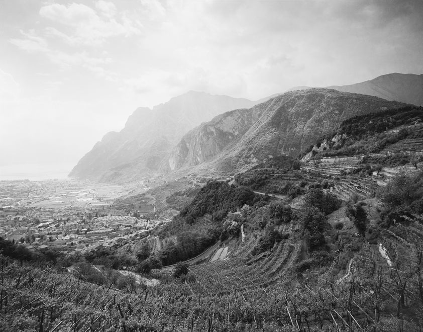 Vineyard by Lake Garda, Italy, 1998 by John Davies © John Davies. All Rights Reserved, DACS/Artimage 2018 Vineyard by Lake Garda, Italy, 1998