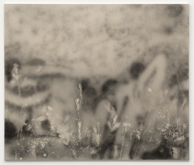 Bunch, 2015