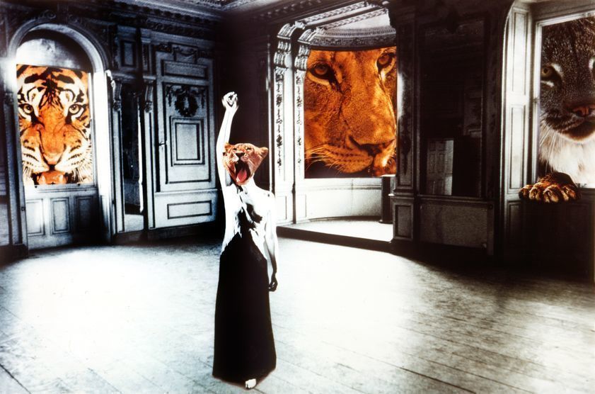 Call of the Wild, 1970-77 by Penelope Slinger © Penelope Slinger. All Rights Reserved, DACS/Artimage 2018. Photo: Peter Whitehead Call of the Wild, 1970-77