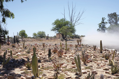 Spoor: Klipplaat, Eastern Cape, South Africa, 2015