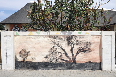 Spoor: Beaufort West, Western Cape, South Africa, 2015