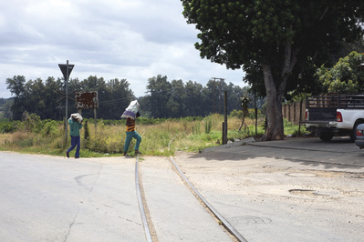 Spoor: Sunland, Eastern Cape, South Africa, 2015