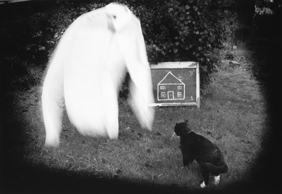 The Buddha in the Cat, 1999