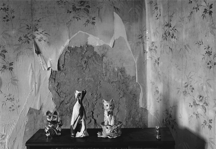Animal Forces (the beckoning cats), 2010 by Peter Finnemore © Peter Finnemore. All Rights Reserved, DACS/Artimage 2018 Animal Forces (the beckoning cats), 2010