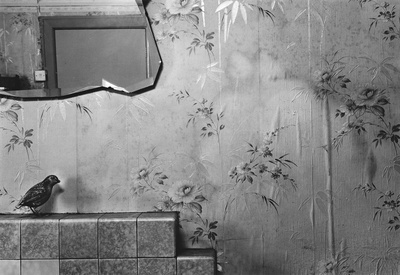 Myffin in the Wallpaper, 2010
