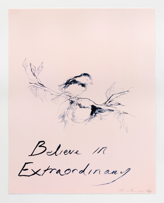 Believe In Extraordinary, 2015