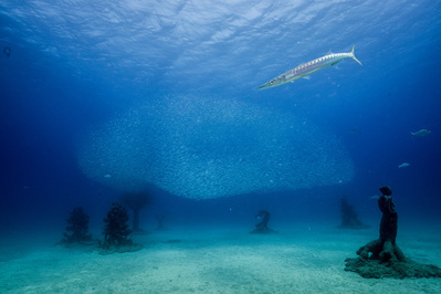 Hybrids, Lanzarote, Museo Atlantico, 2017