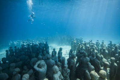 The Silent Evolution, Mexico, 2010
