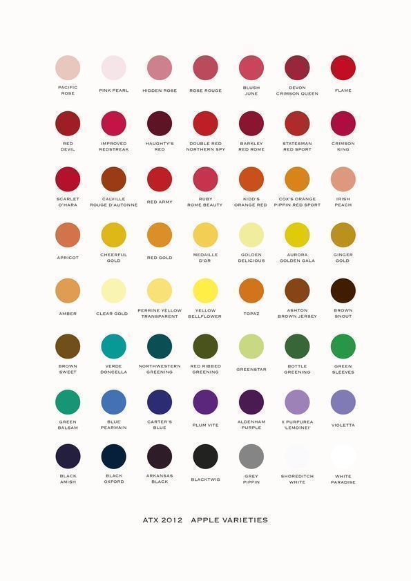 ATX 2012 Apple Varieties, 2012 by Alison Turnbull © Alison Turnbull. All Rights Reserved, DACS/Artimage 2018 ATX 2012 Apple Varieties, 2012
