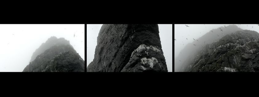 Lesions in the Landscape, 2015 by Shona Illingworth © Shona Illingworth. All Rights Reserved, DACS/Artimage 2018. Supported by the Wellcome Trust Lesions in the Landscape, 2015