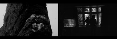 Time Present, 2016