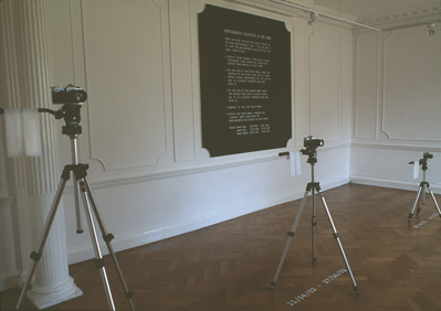 Photographic Pollution in the Home, from the series The Grea...