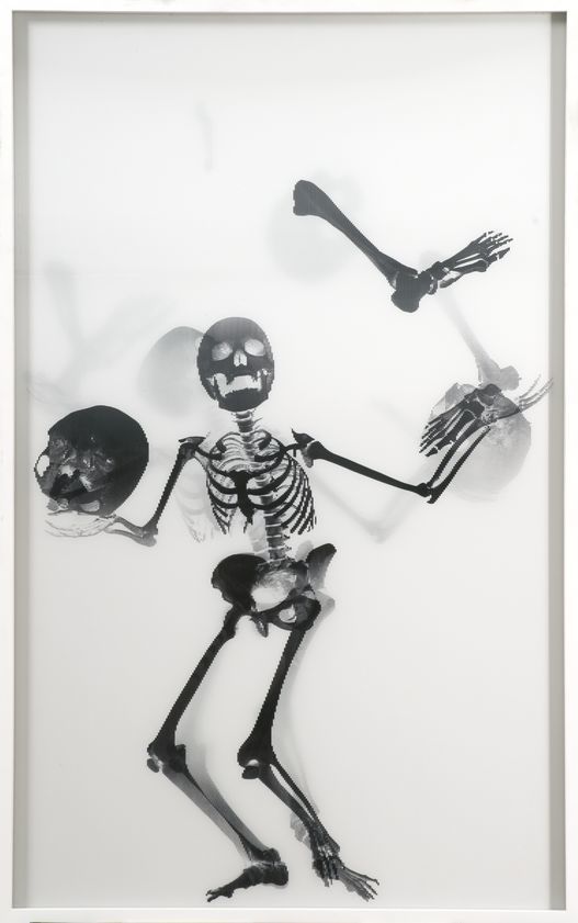 Juggling Skeleton Lenticular (black on white), 2006 by Abigail Lane © Abigail Lane. All Rights Reserved, DACS/Artimage 2018 Juggling Skeleton Lenticular (black on white), 2006