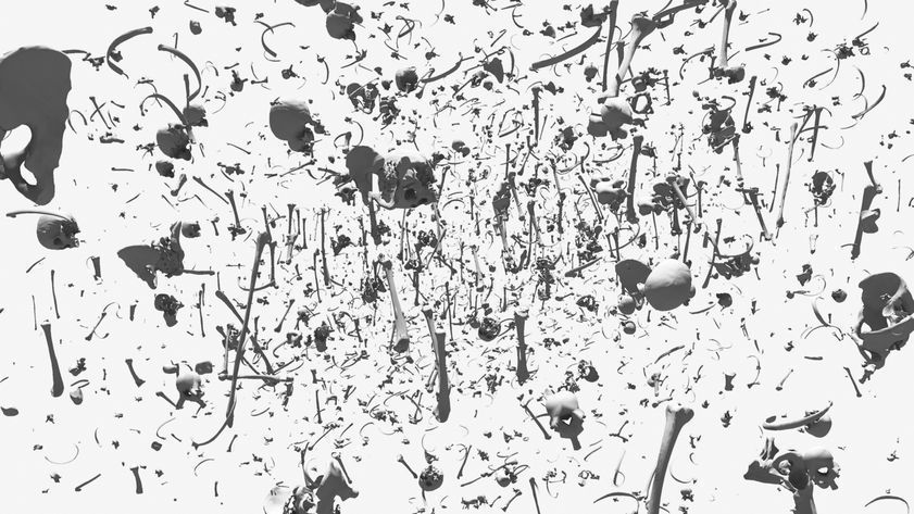 Pollocks Bones I, 2012 by Abigail Lane © Abigail Lane. All Rights Reserved, DACS/Artimage 2018 Pollocks Bones I, 2012