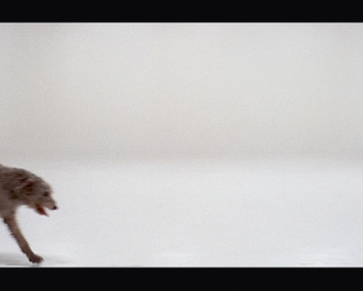 Work No. 670, Orson and Sparky, 2007