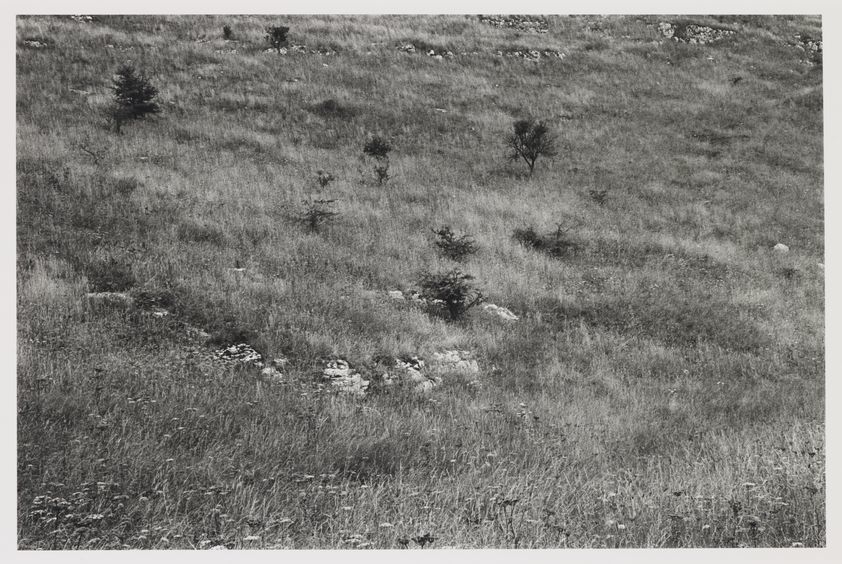 Hawthorn Trees and Mineshaft, Lathkill Dale, 1979 by Paul Hill © Paul Hill. All Rights Reserved, DACS/Artimage 2018. Image: © Arts Council Collection, Southbank Centre Hawthorn Trees and Mineshaft, Lathkill Dale, 1979