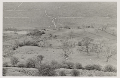 Stone Wall Complex Under Whitle, 1981