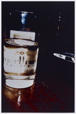 Trying To Die Happy, 1995
