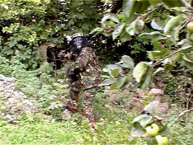 Evolution Revolution, 2004