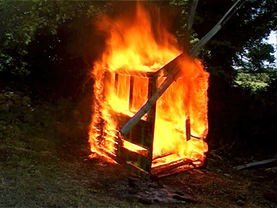 Forest Fire, 2005