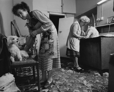 Dogs Hairdressing, Irene Coulthard, Gwen Robinson, Byker, 19...