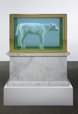 False Idol, 2008