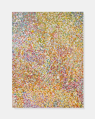 Veil of Blinding Light, 2017