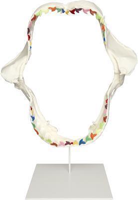 Dark Rainbow, 2009