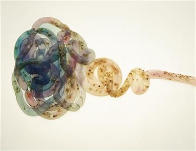 Donor, 1994