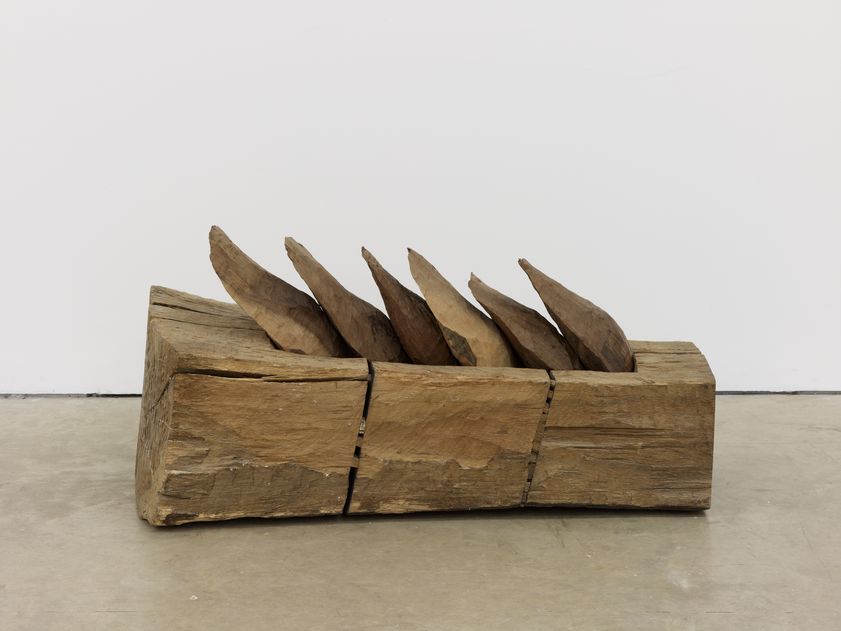 Pods in Trough, 1975 by David Nash © David Nash. All Rights Reserved, DACS/Artimage 2018. Image: © Arts Council Collection, Southbank Centre Pods in Trough, 1975